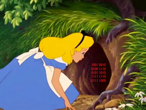 Firmware Rabbit Hole